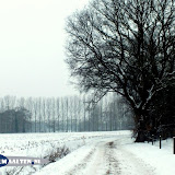 DSCF5582.jpg