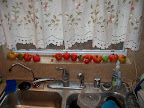 115_1053.JPG