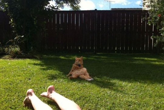 Awesome Picdump