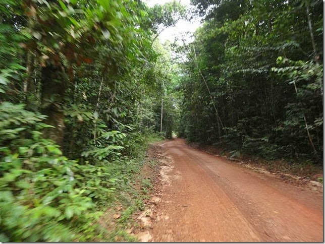 Lethem_Linden_Road_DSC06684 Lethem_Linden_Road_DSC06684
