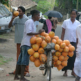 coconut seller foto album Sri Lanka