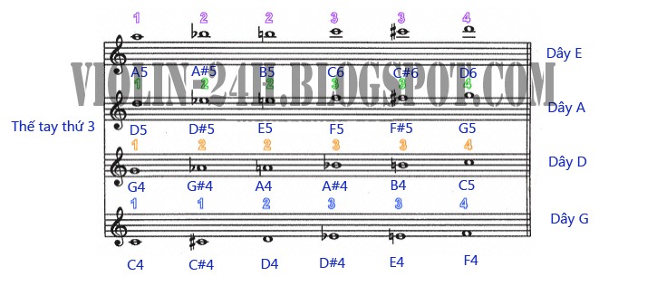 [the%2520tay%2520thu%25203%2520cua%2520violin%255B5%255D.jpg]