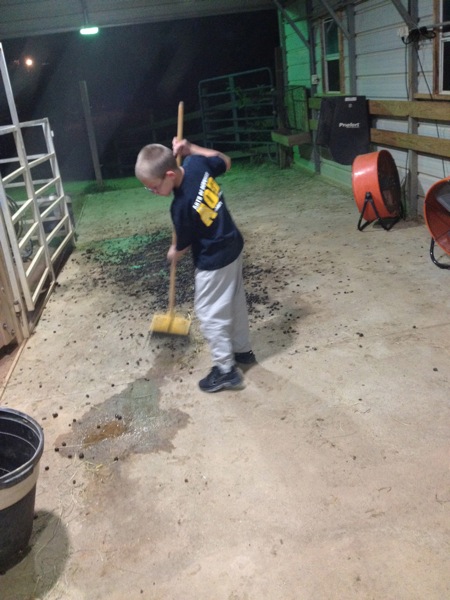 IMG_0373.jpg IMG 0373