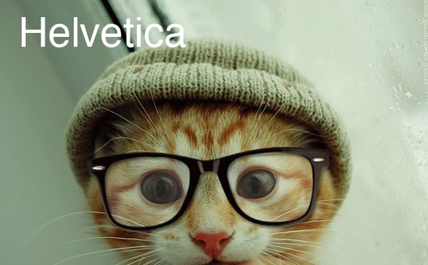 [cats-as-fonts-05%255B2%255D.jpg]