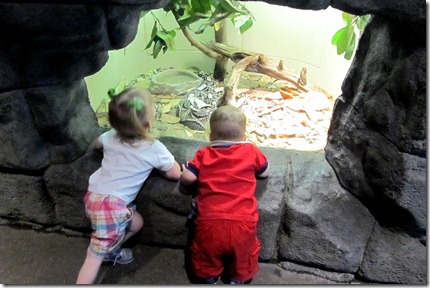 Nolan & Elaine at the Denver Zoo