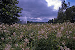 joenranta.jpg joenranta.jpg