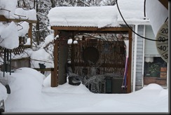 IMG_6953