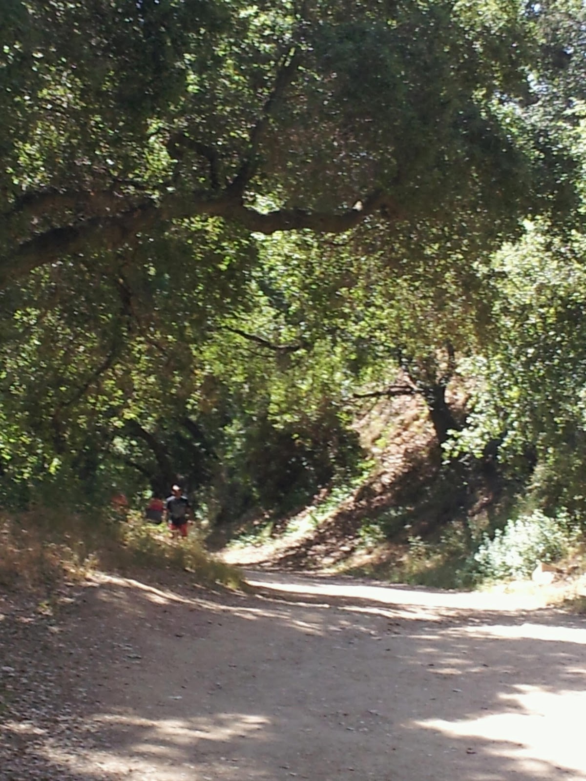hiking with fido hikes with dogs on southern california hiking with fido hikes with dogs on southern california