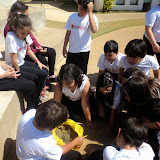 DSC04900.JPG