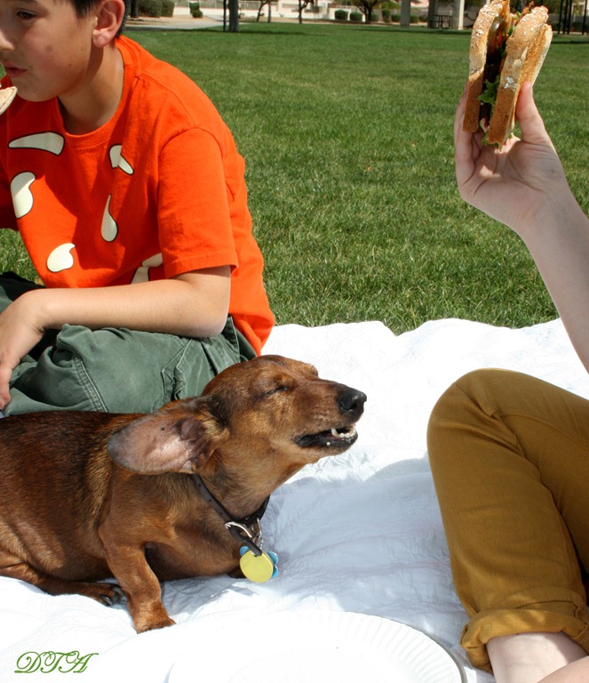 [coat%2520bacon%2520096%255B4%255D.jpg]