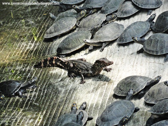 [DSC03895%255B8%255D.jpg]