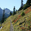 Marmot Pass