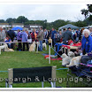 Pedigree Dogs 001.jpg