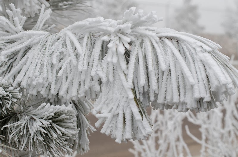 [December%2520Fun-37%255B15%255D.jpg]