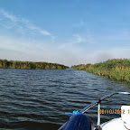 IMG_8038.JPG