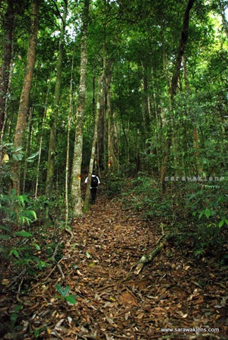 gunung_gading_summit_hike_24