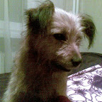 20100216_005_.jpg