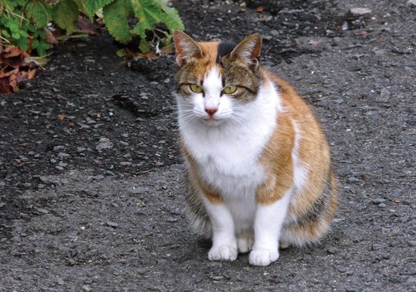 [2011-06%255B2%255D.jpg]