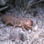 IMAG0323.jpg