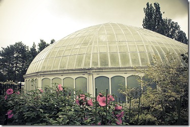 Phipps (1 of 1) Phipps (1 of 1)