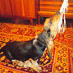 DSCN2493.JPG