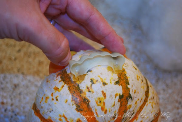 Placing fake teeth into pumpkin design.jpg Placing fake teeth into pumpkin design