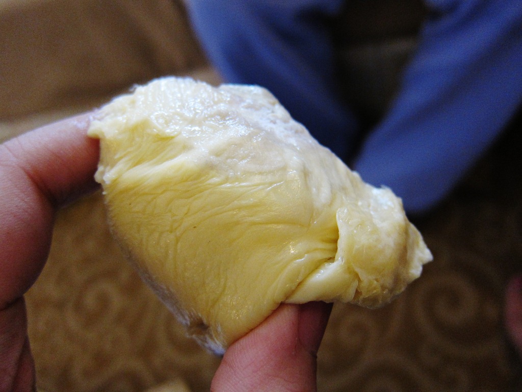 [IMG_02913.jpg]
