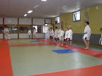 Judo - 3 juli 2009: Foto