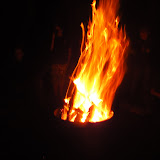 DSC02533.JPG