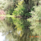 DSCN2980.JPG