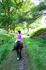 A Fabulous Ride Through The Ward Pound Ridge Reservation In Search Of Mountain Laurel