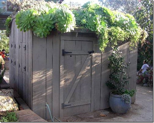 succulent-garden-in-home-and-outdoor5-10