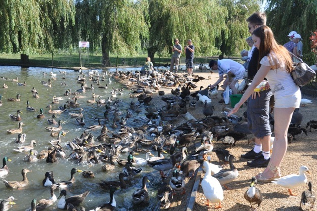 [DSC_0715%255B10%255D.jpg]