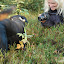 Paparazzifotografer i lyngen
