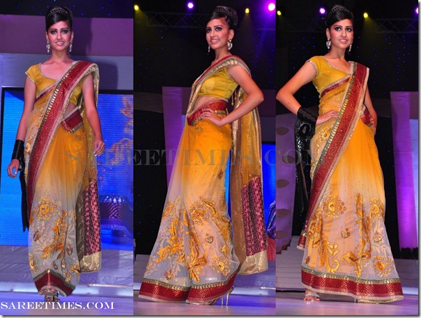 Embroidery_Designer_Saree