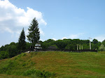 IMG_4345.JPG