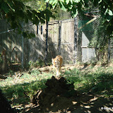 PittsburghZooRevisited PittsburghZooRevisited