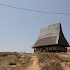 IMG_9543.JPG