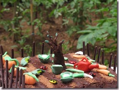 IMG_9900 IMG_9900
