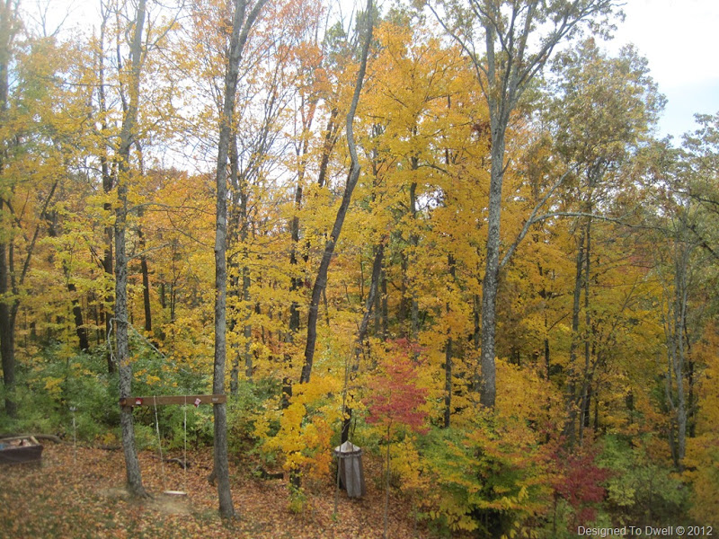 Fall Trees