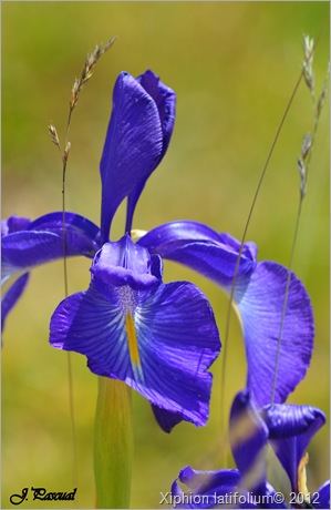 DSC_0645 DSC_0645
