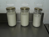 DSCF0283.JPG