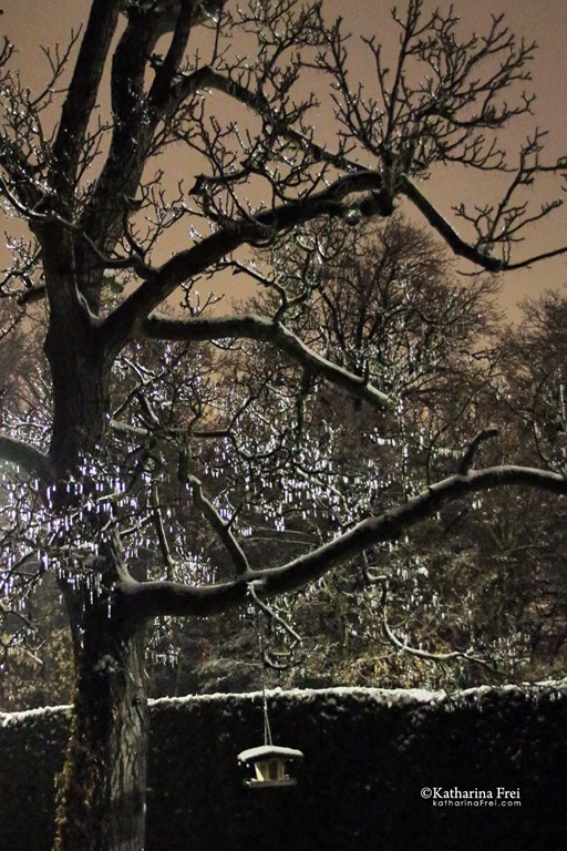 [9%255B1%255D.jpg]
