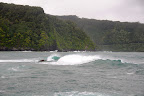 DSC_5909.JPG