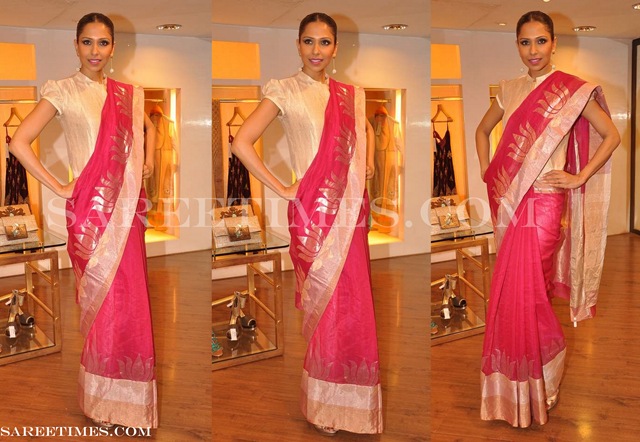 [Rahul_Mishra_Pink_Designer_Saree%255B3%255D.jpg]