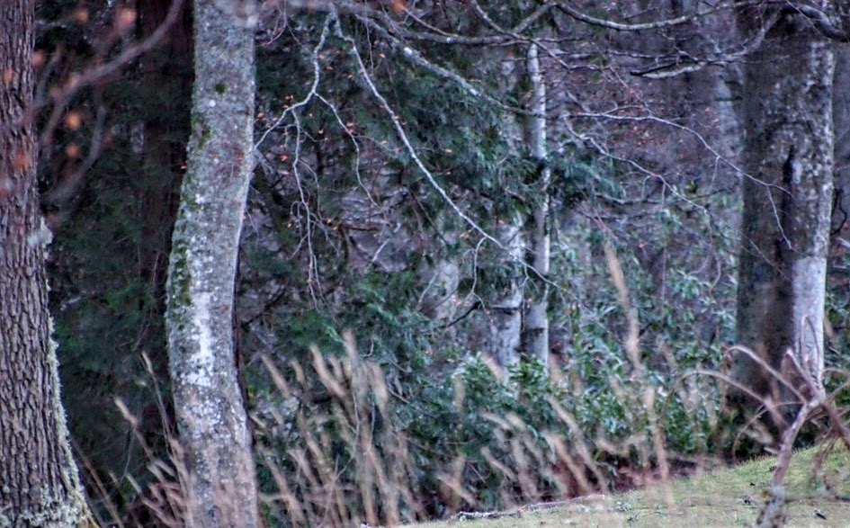 [25%2520Dec%25208%255B3%255D.jpg]