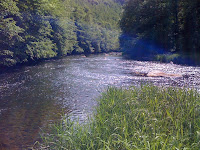 IMG_0680.jpg