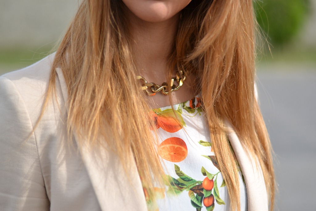 [DSC_0031%255B3%255D.jpg]