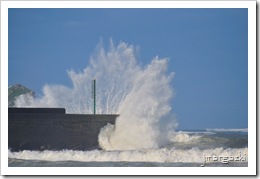DSC_3770 DSC_3770
