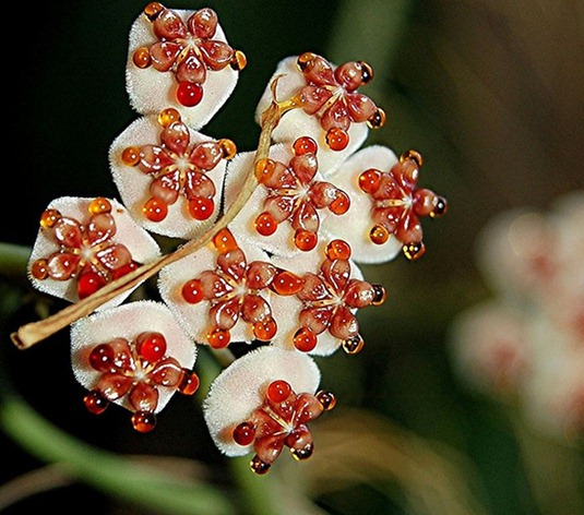 [Floow_12%255B5%255D.jpg]